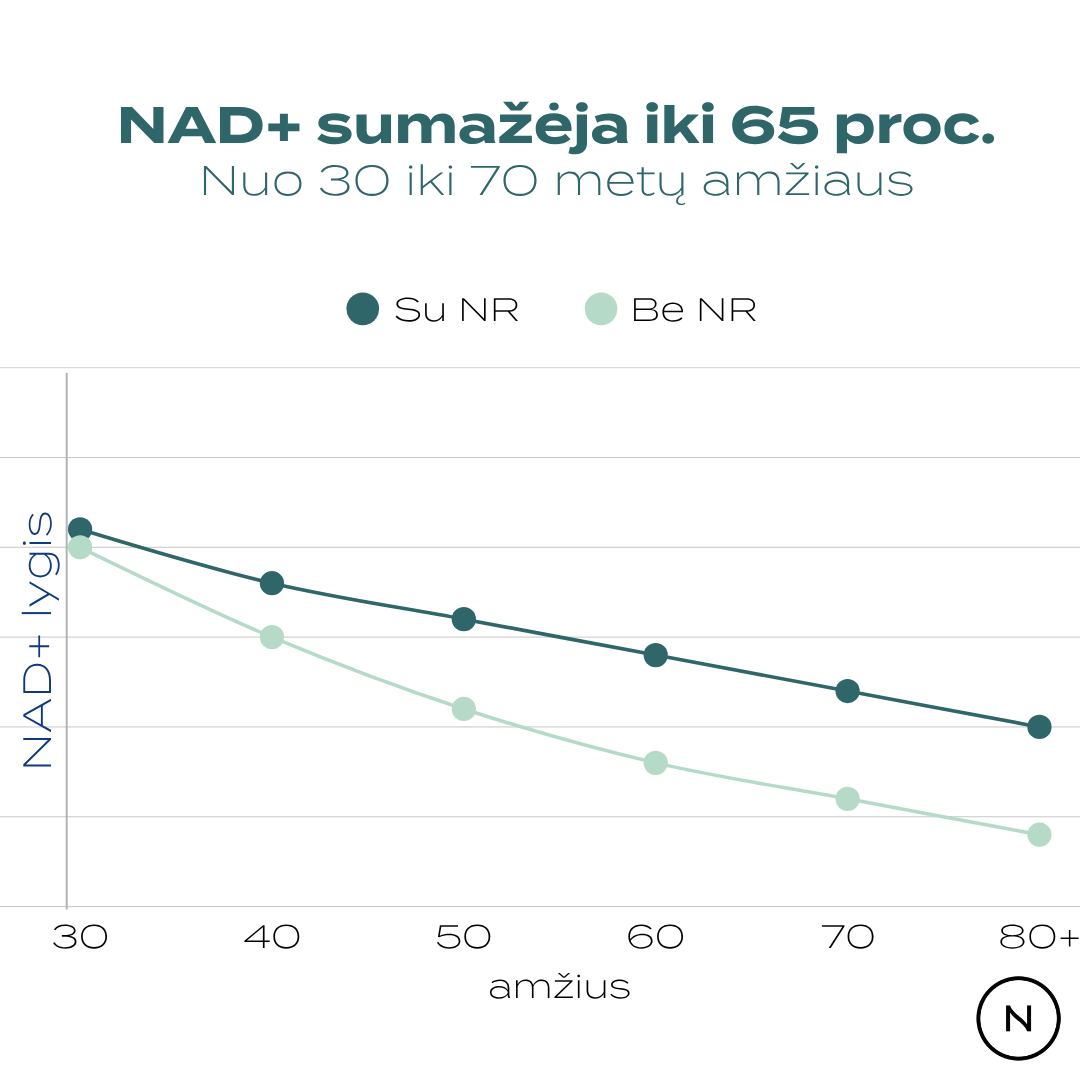 NAD+ lygis