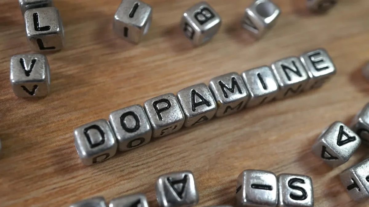 Dopaminas: 10 natūralių būdų jo kiekiui padidinti