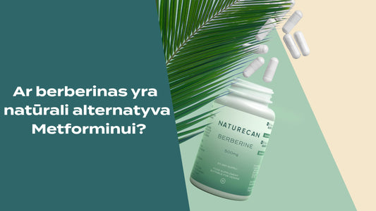 Metforminas be recepto: ar berberinas gali būti atsakymas?