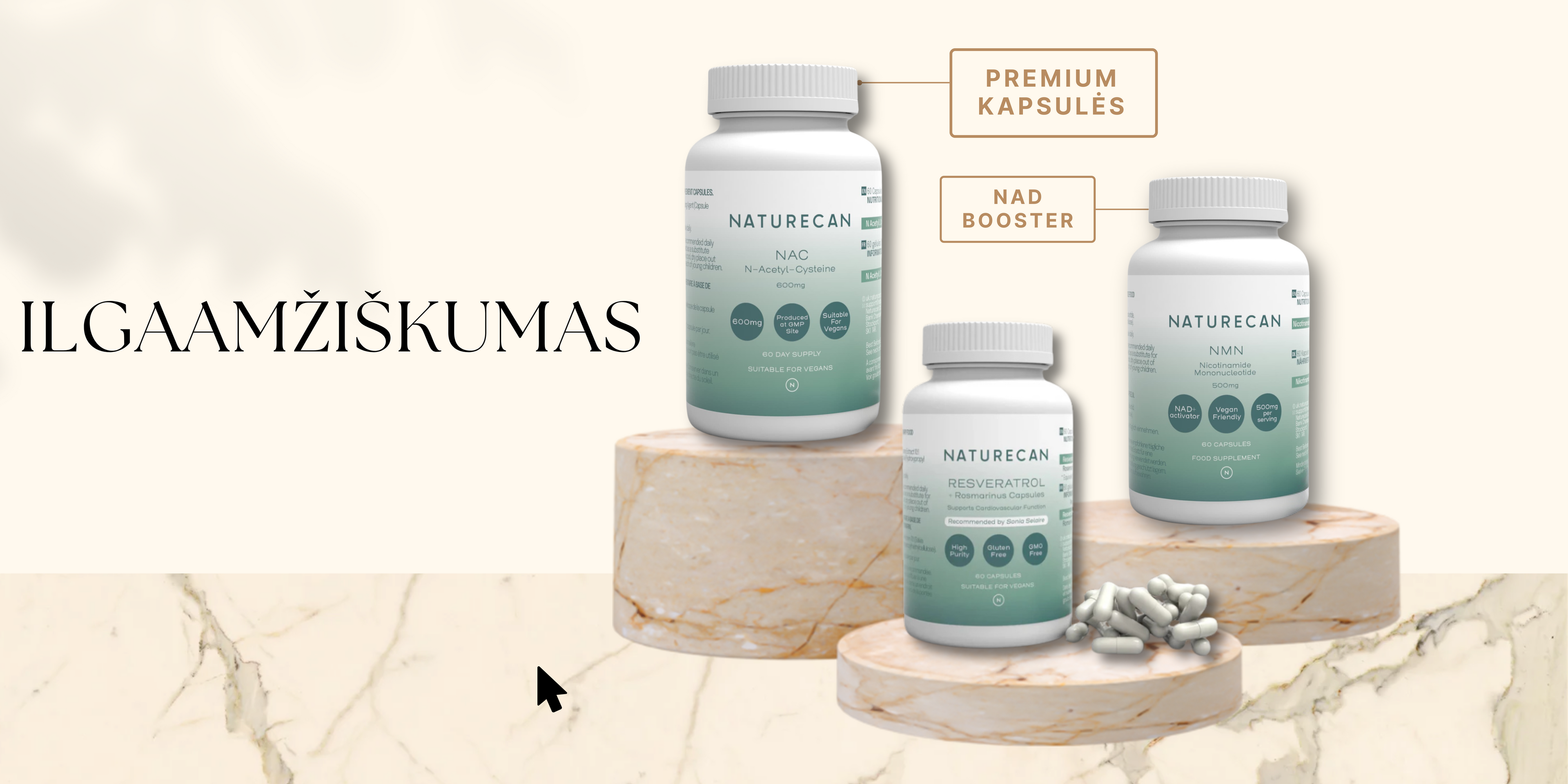 Kas yra ilgaamžiškumas?