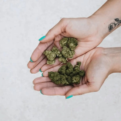 CBD flower