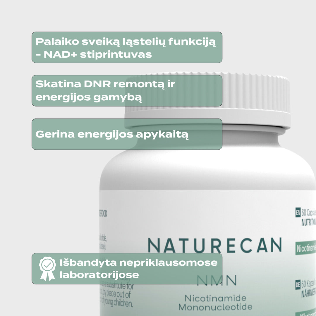 nmn supplement