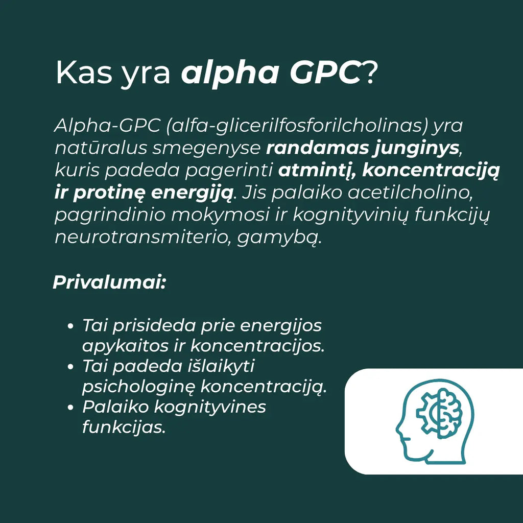 alpha gpc kaina