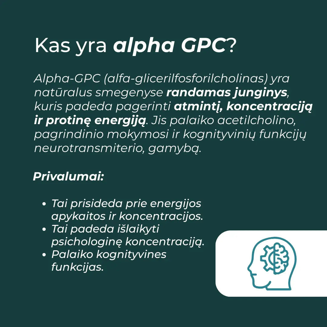 alpha gpc kaina