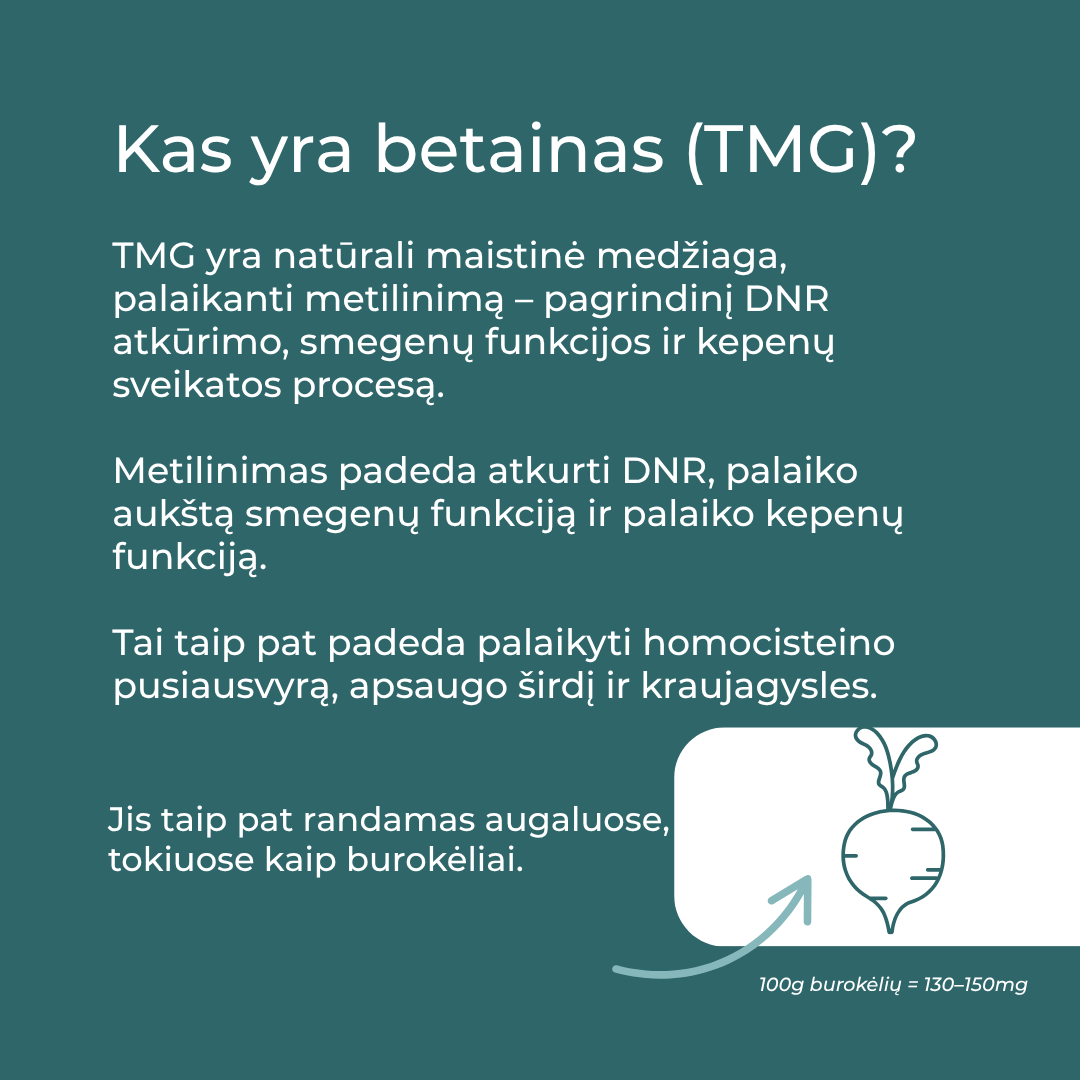 tmg papildai