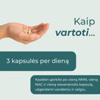 anti aging longevity