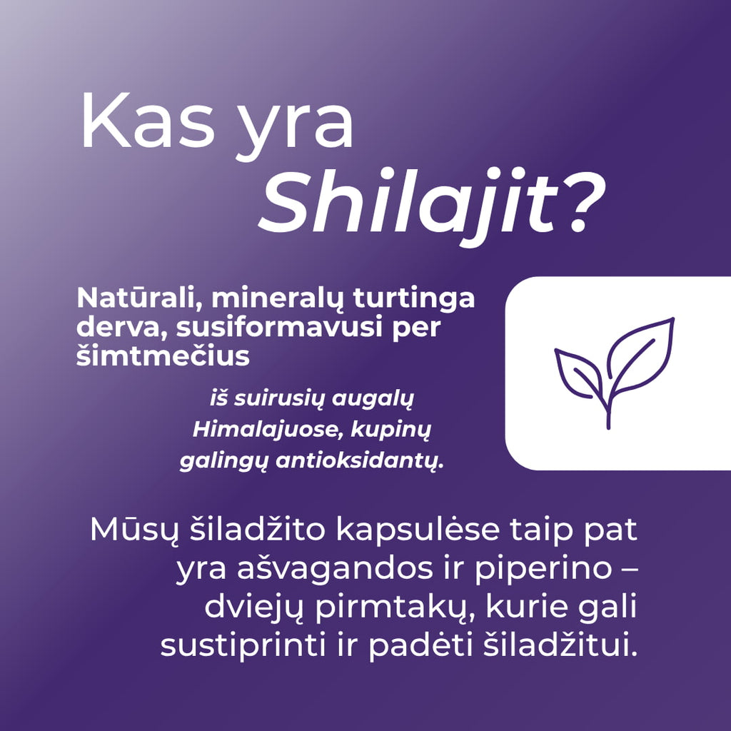 mumijo shilajit