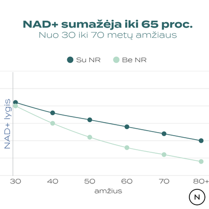 NAD+ lygis