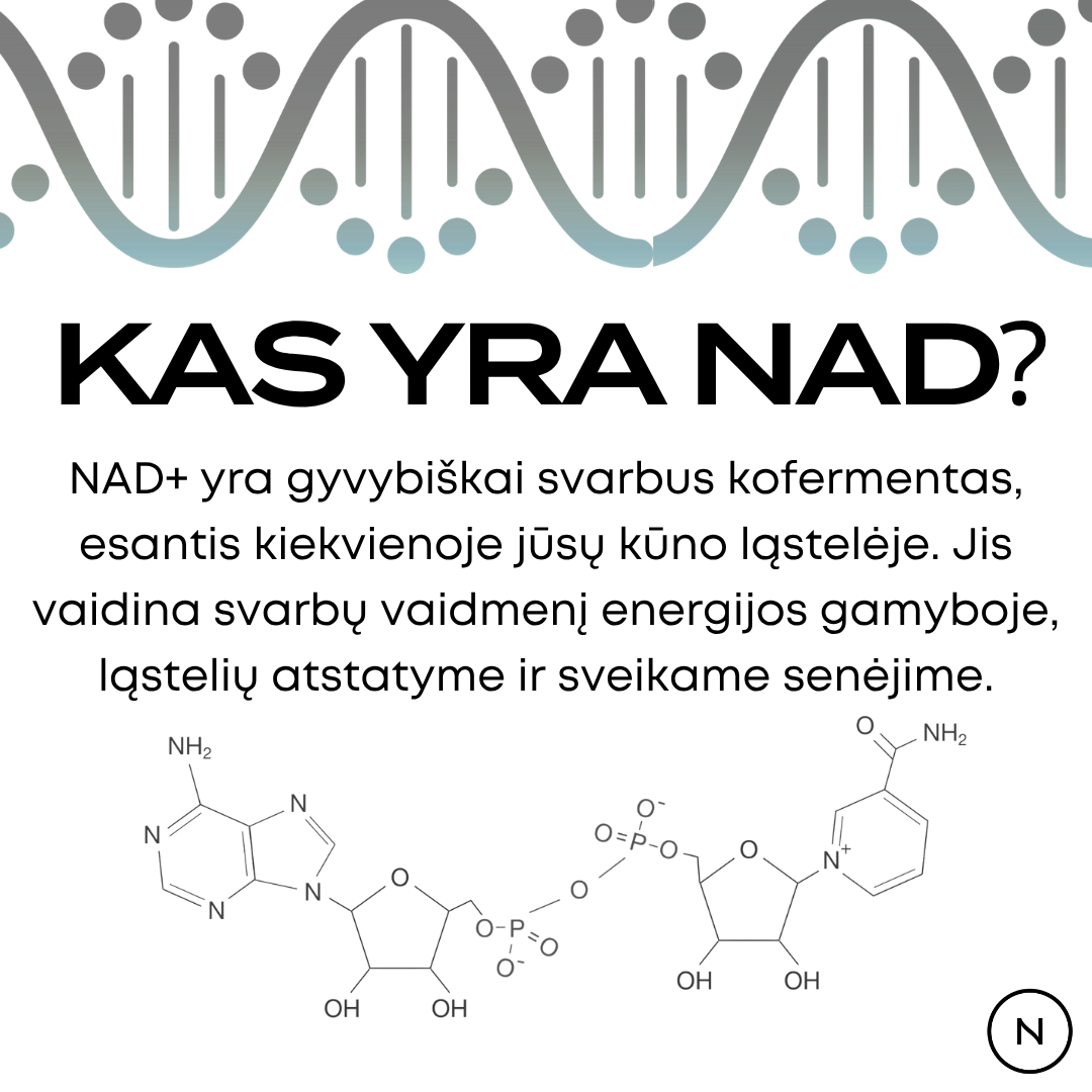kas yra nad