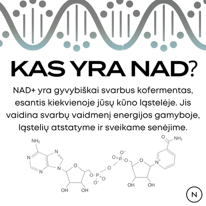 kas yra nad