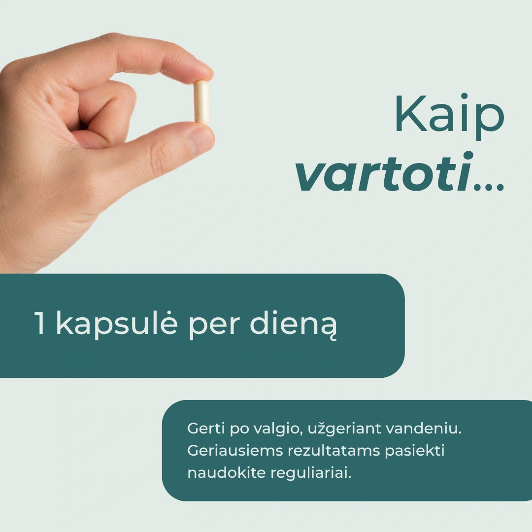 ašvaganda kaina