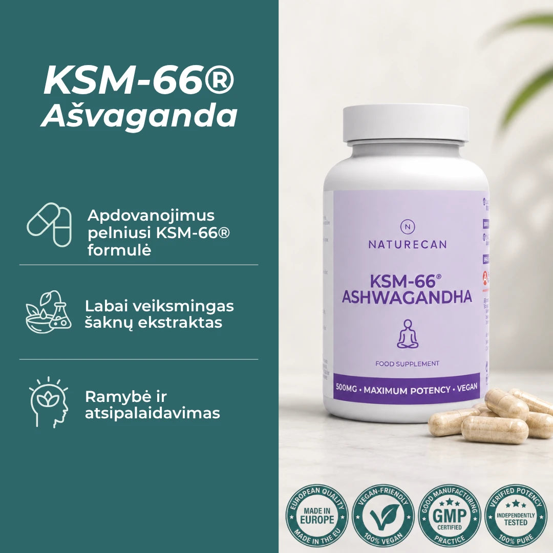 ashwagandha ksm-66