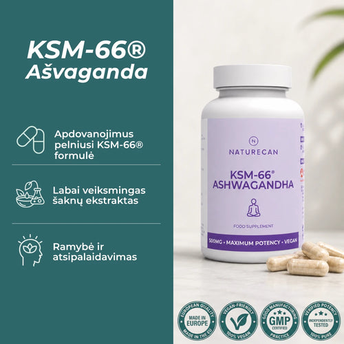 ashwagandha ksm-66