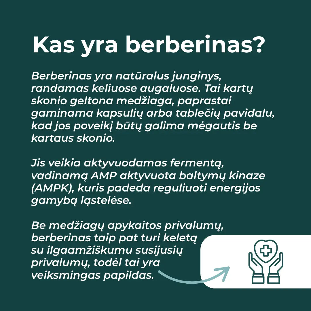 berberinas kaina