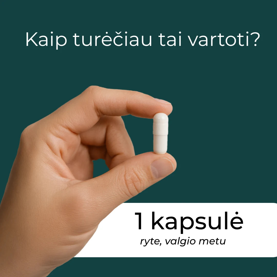 berberinas kas tai