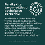 geriausias berberinas