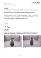 kam naudojamas berberinas