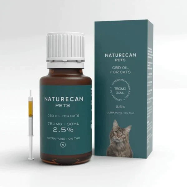 CBD Aliejus Katėms